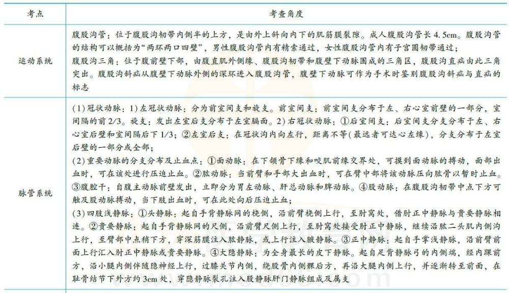 解剖学易错考点2