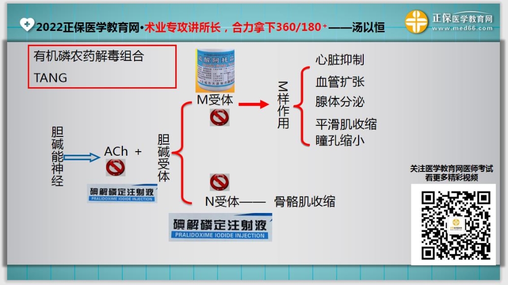 临床医师基础测试14-延伸1