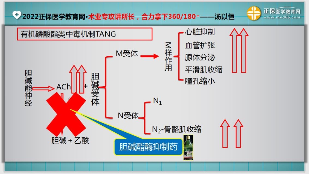 临床医师基础测试15-延伸