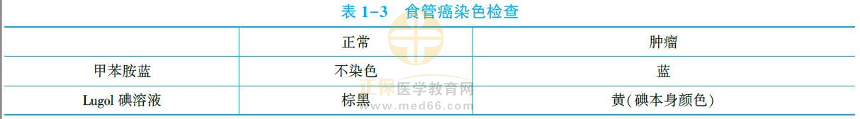 食管癌诊断知识点2_副本