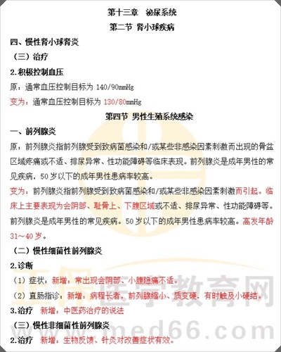 泌尿系统