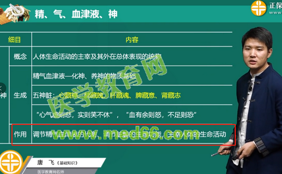 精气血津液神