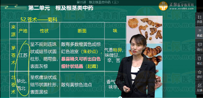 苍术的鉴别要点是