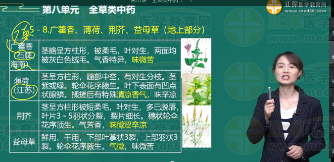 薄荷药材的气味是