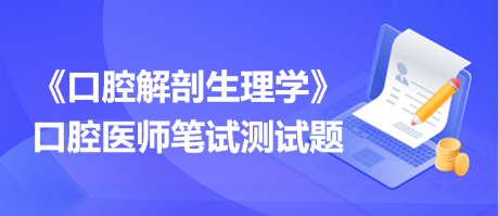 口腔解剖生理学测试题