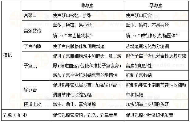 雌孕激素对附性器官的作用