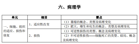 2024临床执业医师考试大纲-病理学1